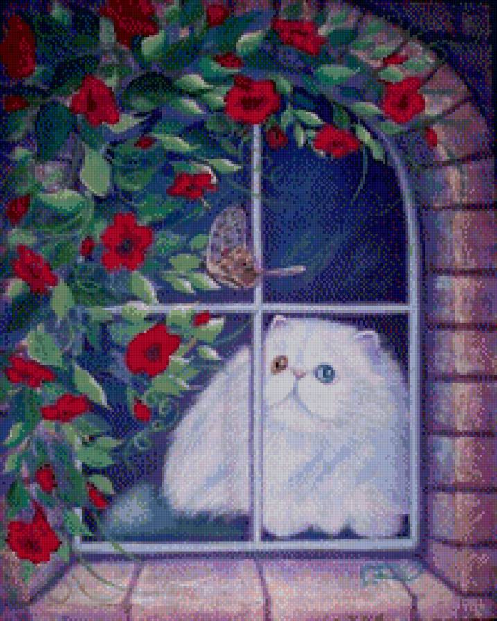 разноглазый кот - кот - предпросмотр