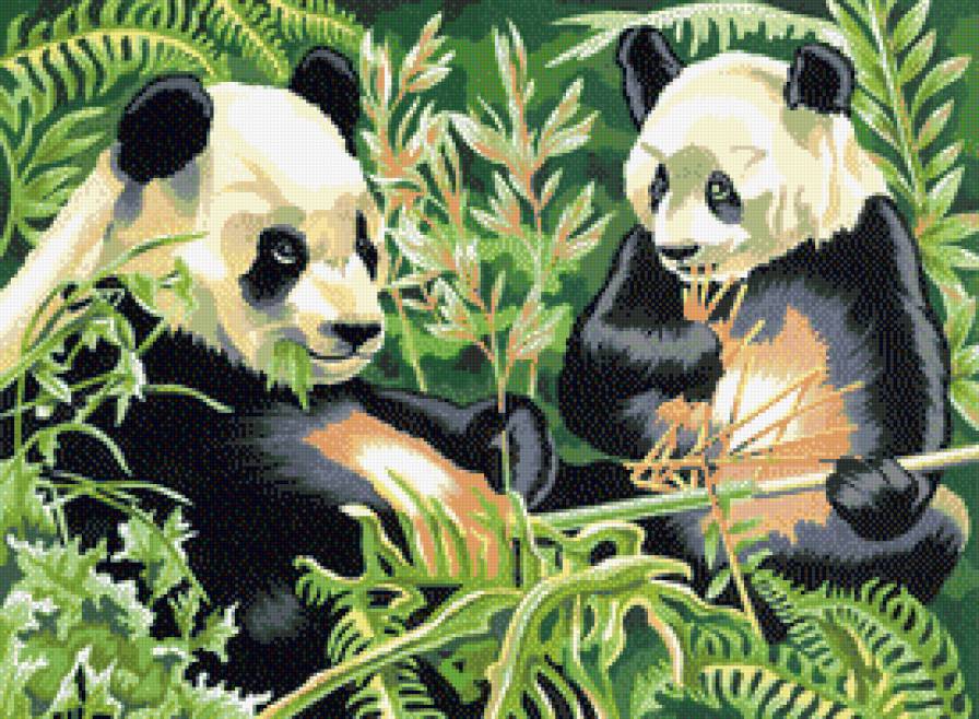 Две панды - восток, животные, китай, панда, азия, медведи - предпросмотр