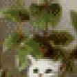Предпросмотр схемы вышивки «Коты и какаду» (№571030)
