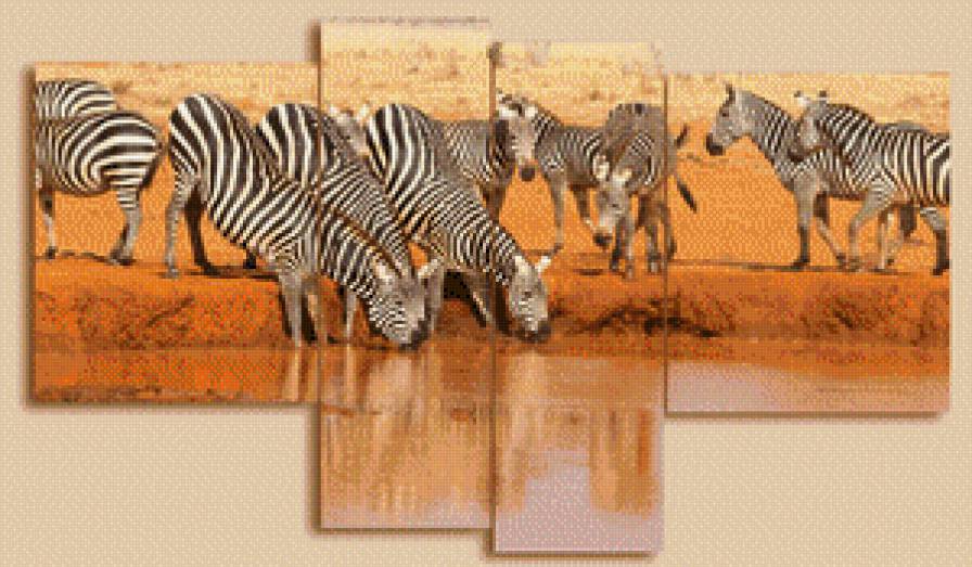 №571056 - африкв, зебра, триптих, водопой - предпросмотр