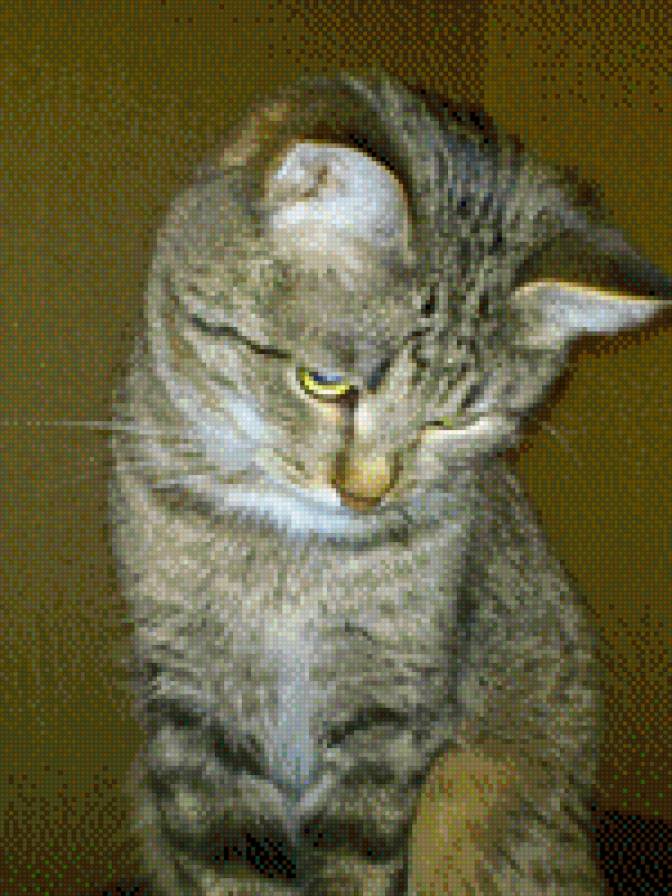 1 - предпросмотр