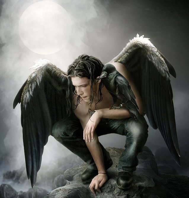 №571217 - ночь, мужчина, ворон, птица - оригинал