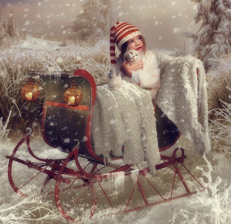 №571242 - кошка, зима, ребенок, сани, снег - оригинал