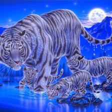 Оригинал схемы вышивки «Белые тигры» (№571443)