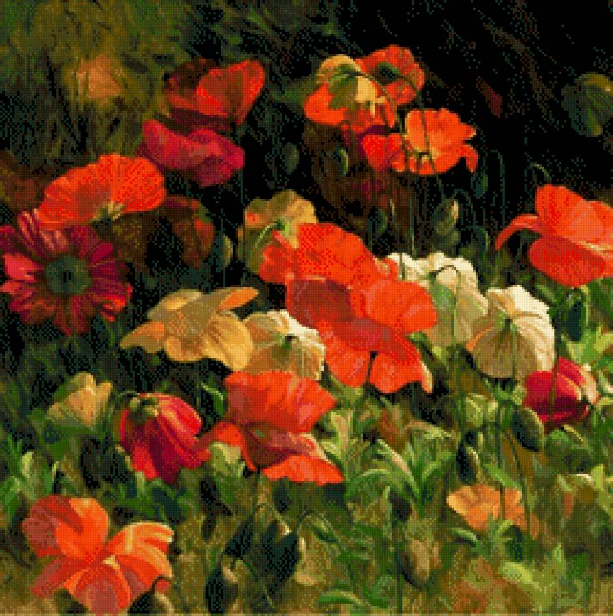 Leon Roulette-Maki - ziwopis, kwiaty, maki - предпросмотр