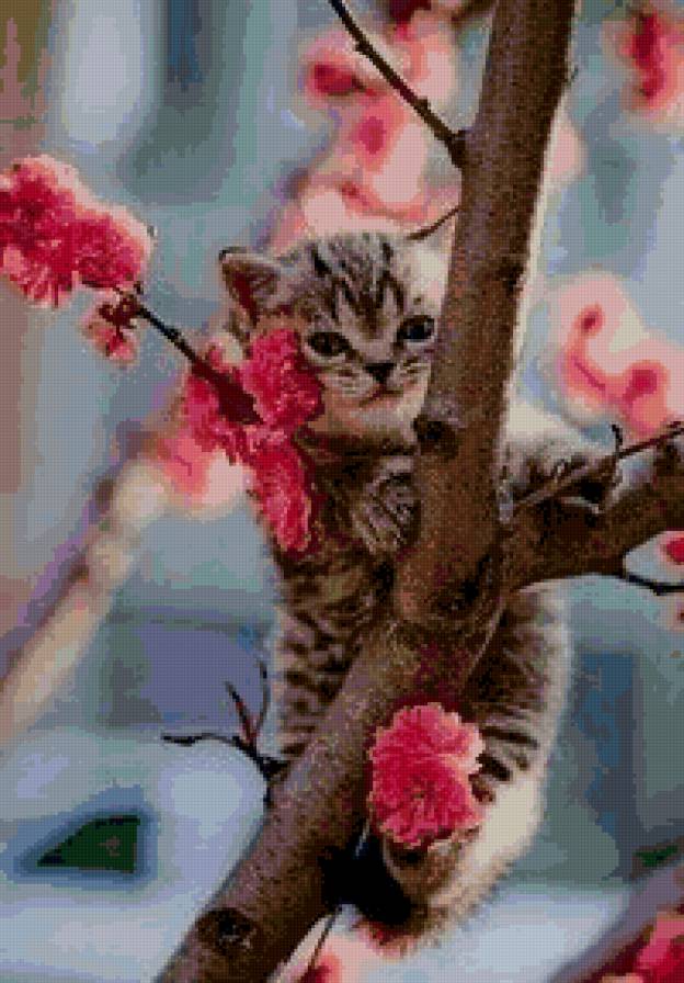 Котик на дереве - животное, дерево, цветы - предпросмотр
