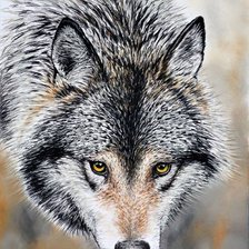 Схема вышивки «*»