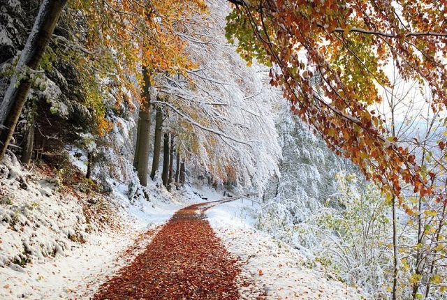 морозная осень - осень, пейзаж, природа, зима - оригинал