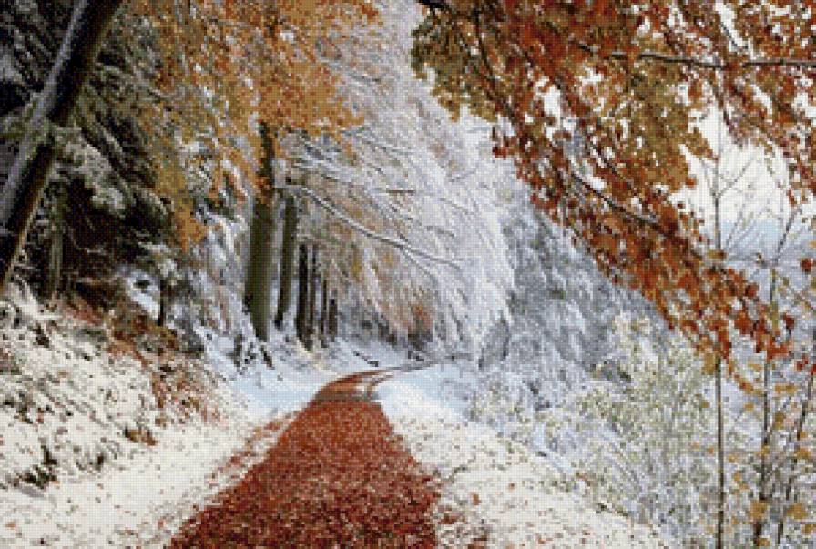 морозная осень - осень, пейзаж, природа, зима - предпросмотр