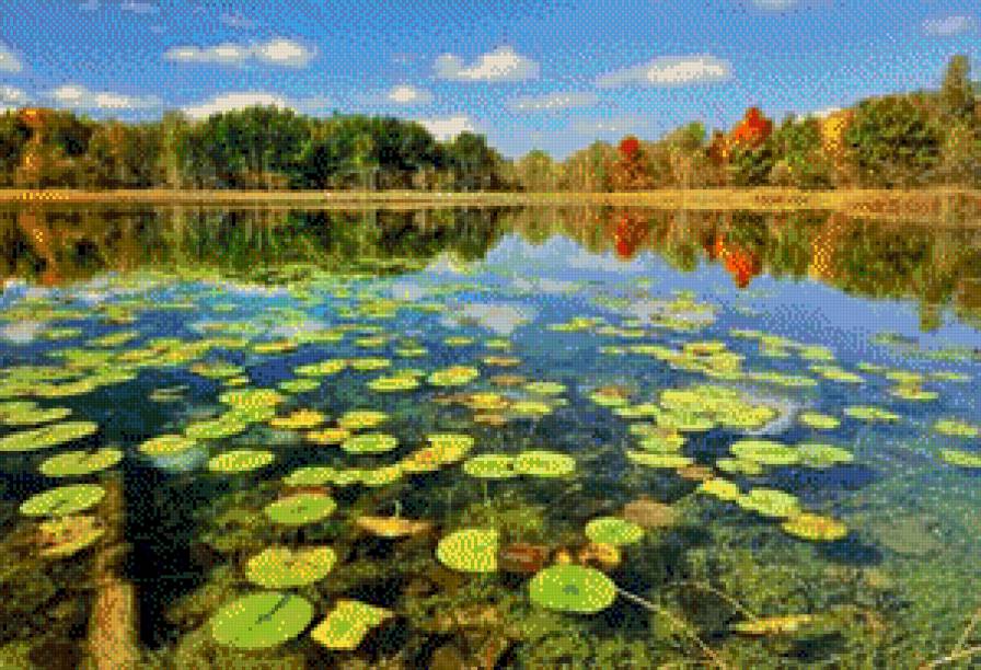 На пруду - предпросмотр