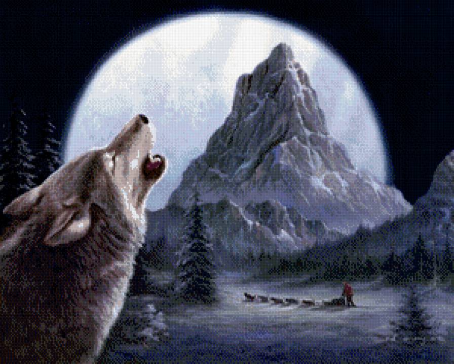 воющий на луну - ночь, снег, волк, горы - предпросмотр