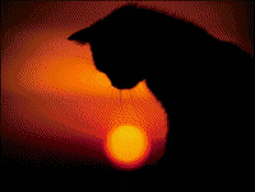 кот - кот закат - предпросмотр