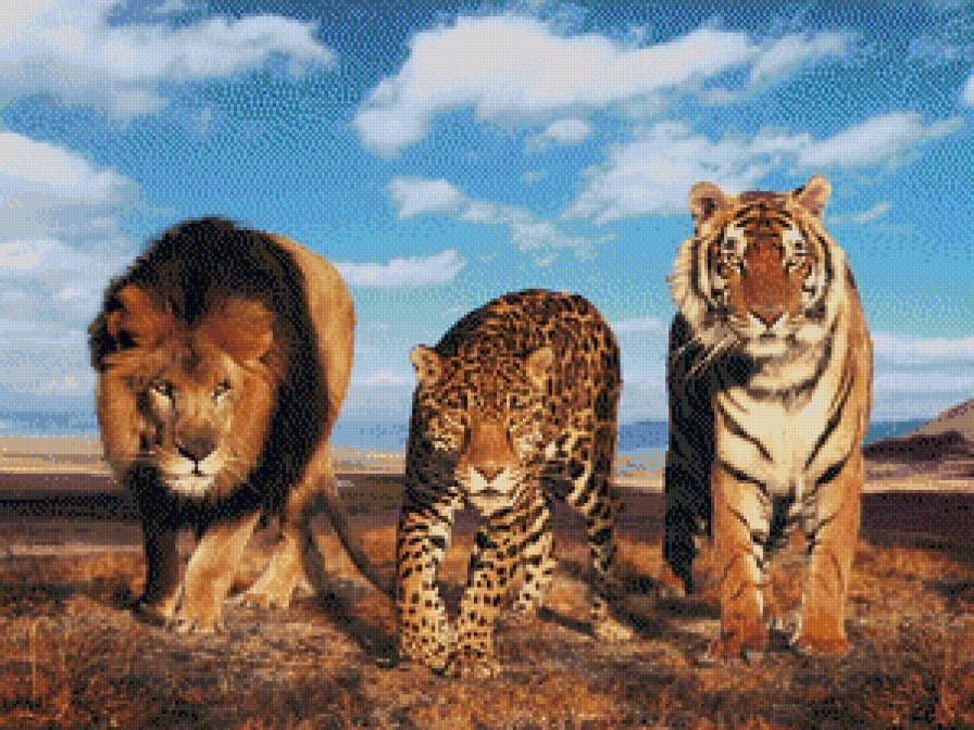 кошки - лев, тигр, кошки, леопард - предпросмотр