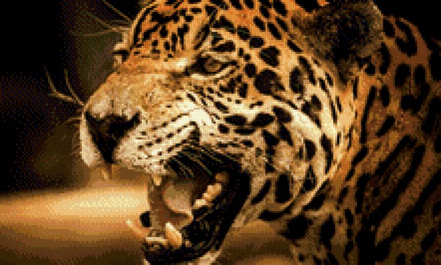леопард - леопард - предпросмотр