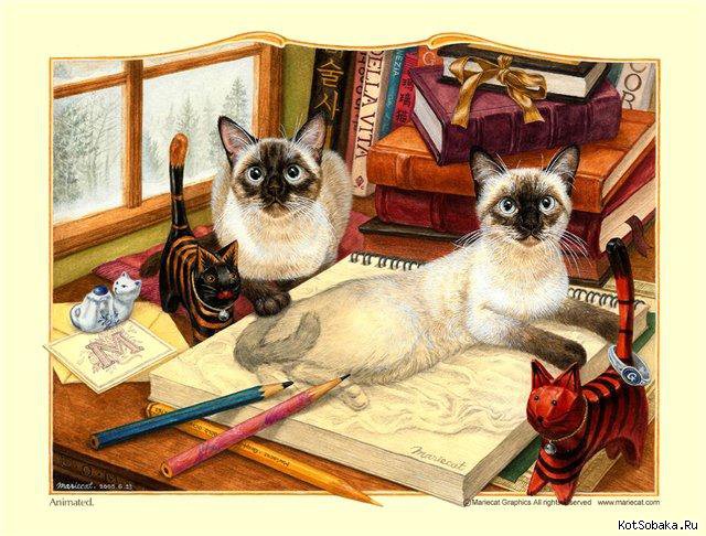 №572035 - оригинал