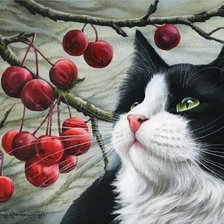 Схема вышивки «№572038»