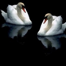 Схема вышивки «лебеди»