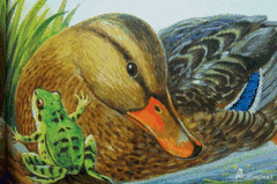 Подружимся - утка, лягушка - предпросмотр