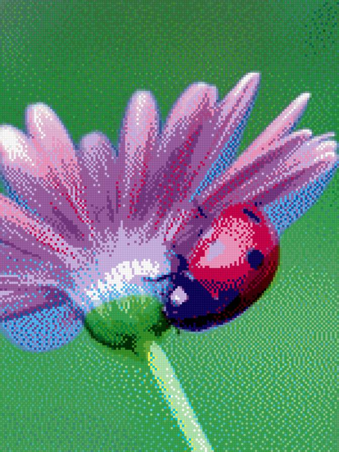 Божья коровка - божья коровка, природа, цветы - предпросмотр