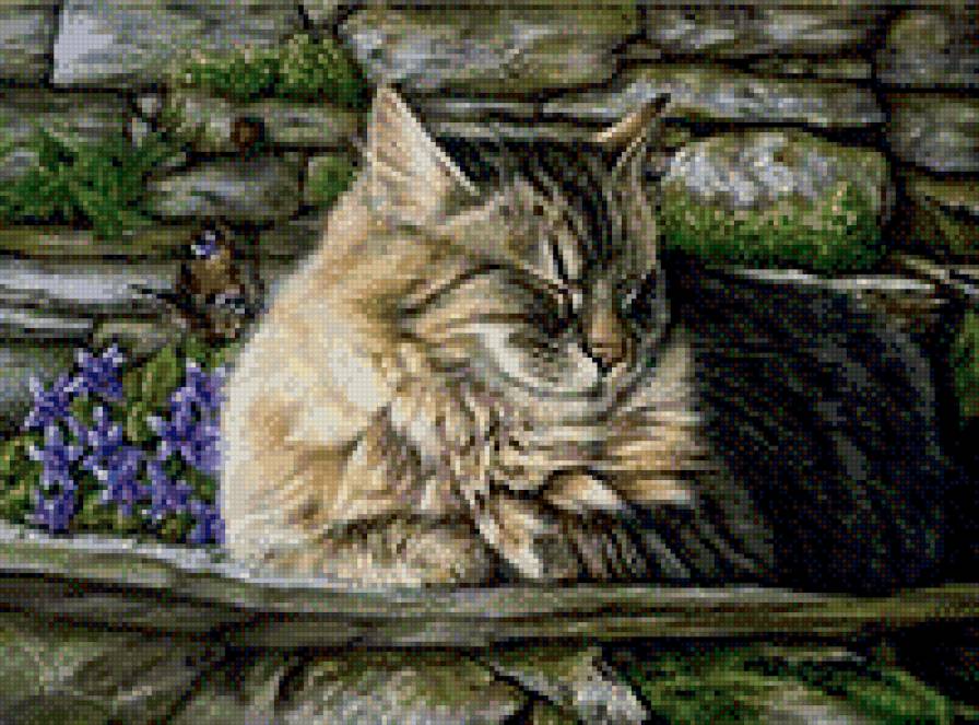 №572157 - предпросмотр