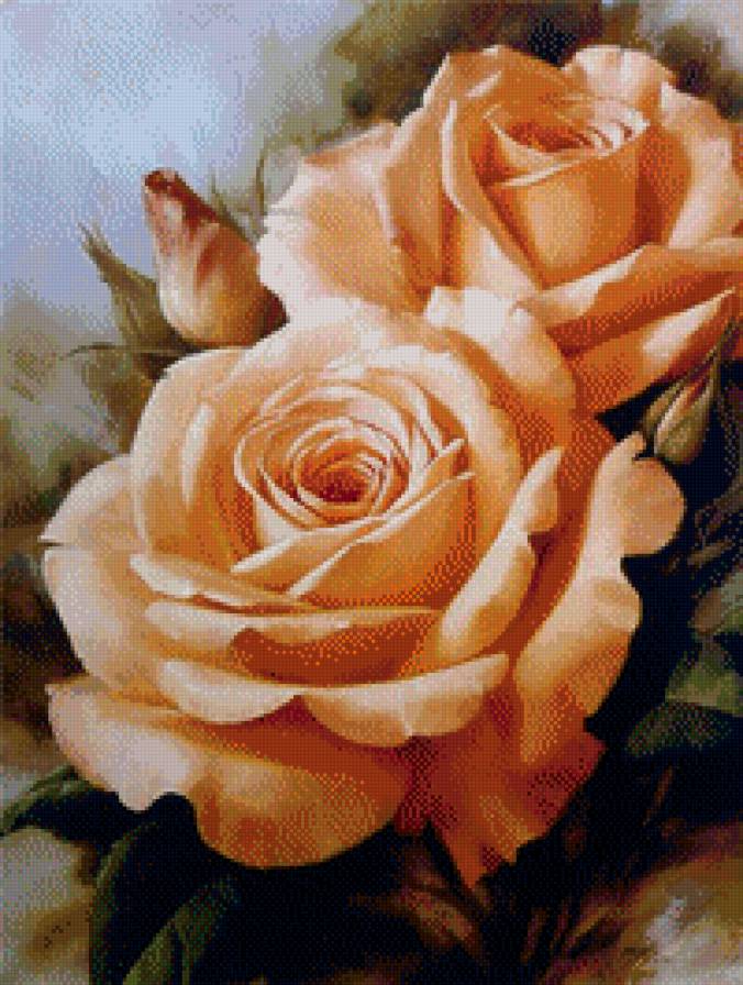 розы - цветы - предпросмотр