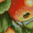 Предпросмотр схемы вышивки «яблоки» (№572260)