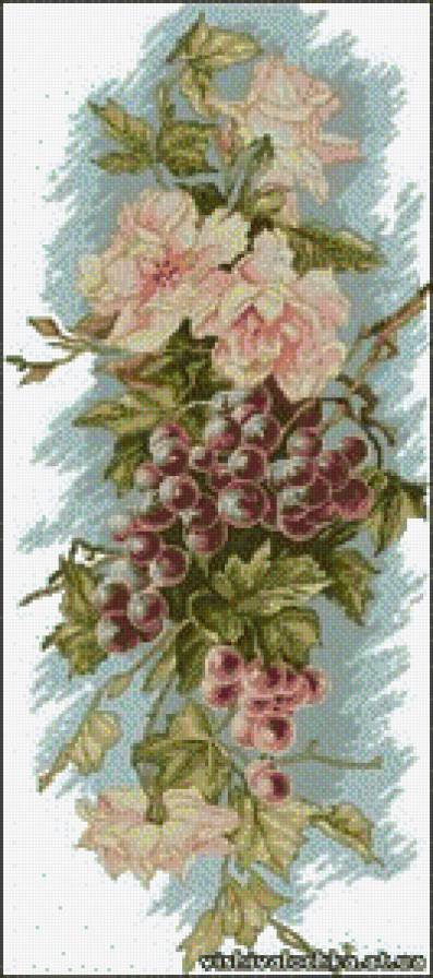 виноград - виноград, панелька, лето - предпросмотр