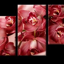 Оригинал схемы вышивки «триптих красная орхидея» (№572351)
