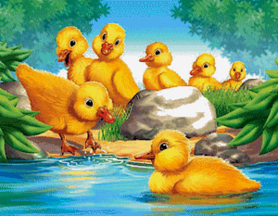 Утята - утята, купание, озеро, птенцы - предпросмотр