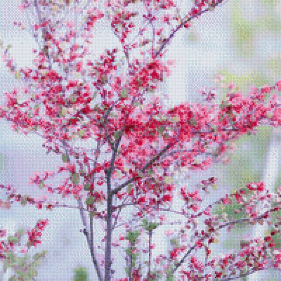 Цвет - цветы - предпросмотр