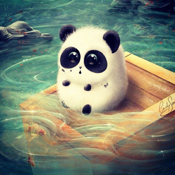 Панда *0* - панда, милота, вода, животные - оригинал