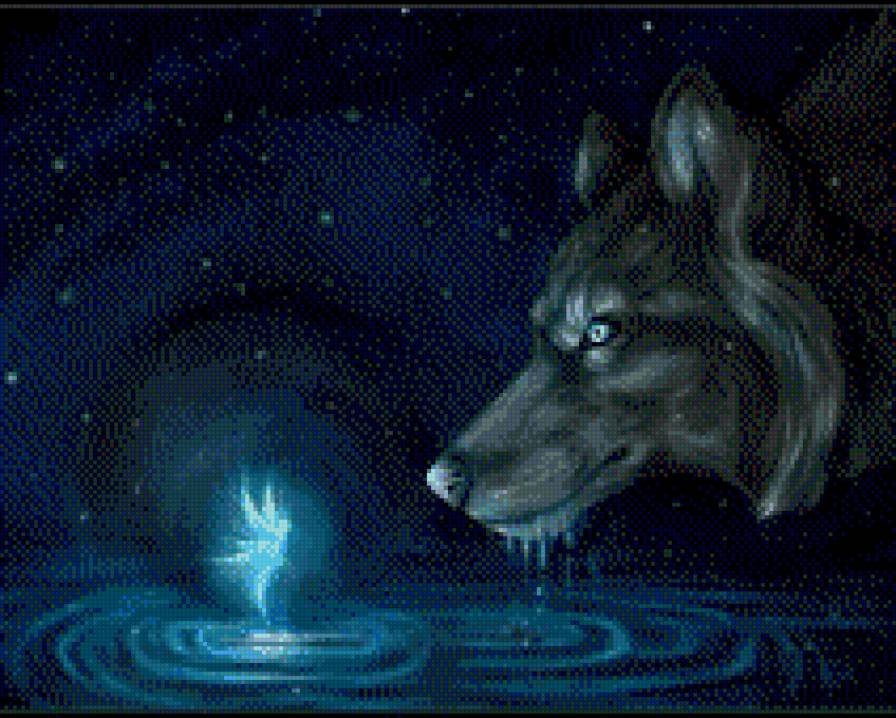 волк и фея - волк, фея, ночь - предпросмотр