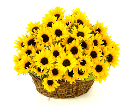 карзина цветов - цветы - оригинал