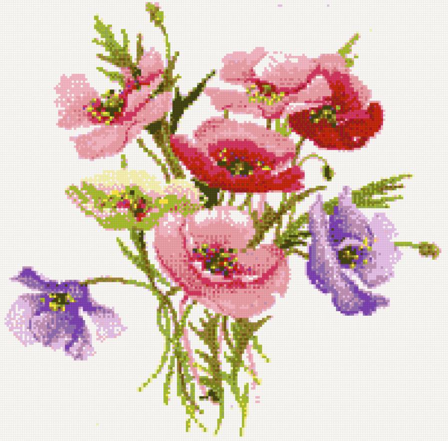 букет маков - цветы, маки - предпросмотр