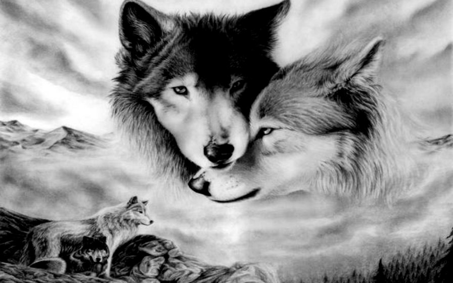 пара волков - животные, волки - оригинал