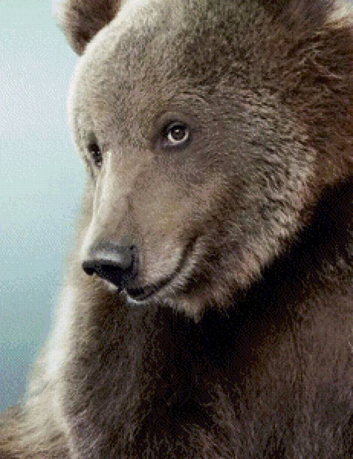 мишуня - животные, природа - предпросмотр