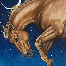 Схема вышивки «звёздный конь»