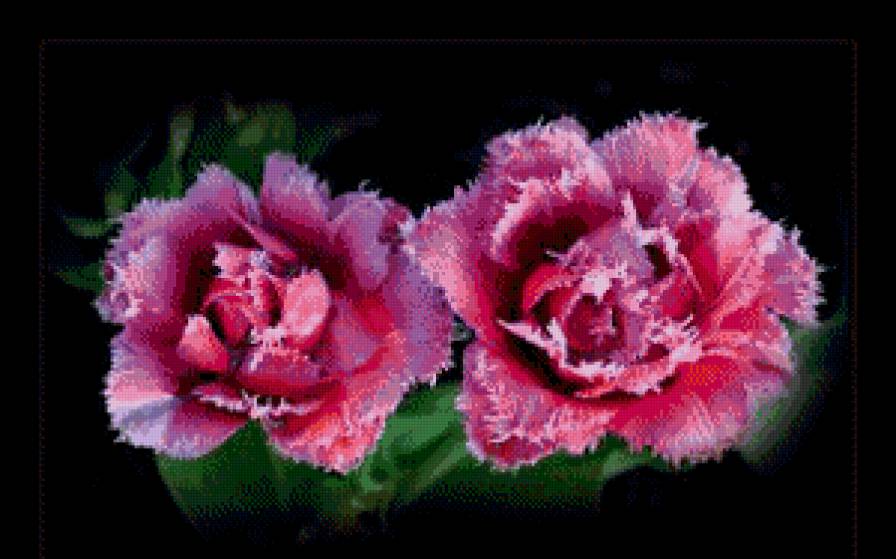 цветочки - предпросмотр