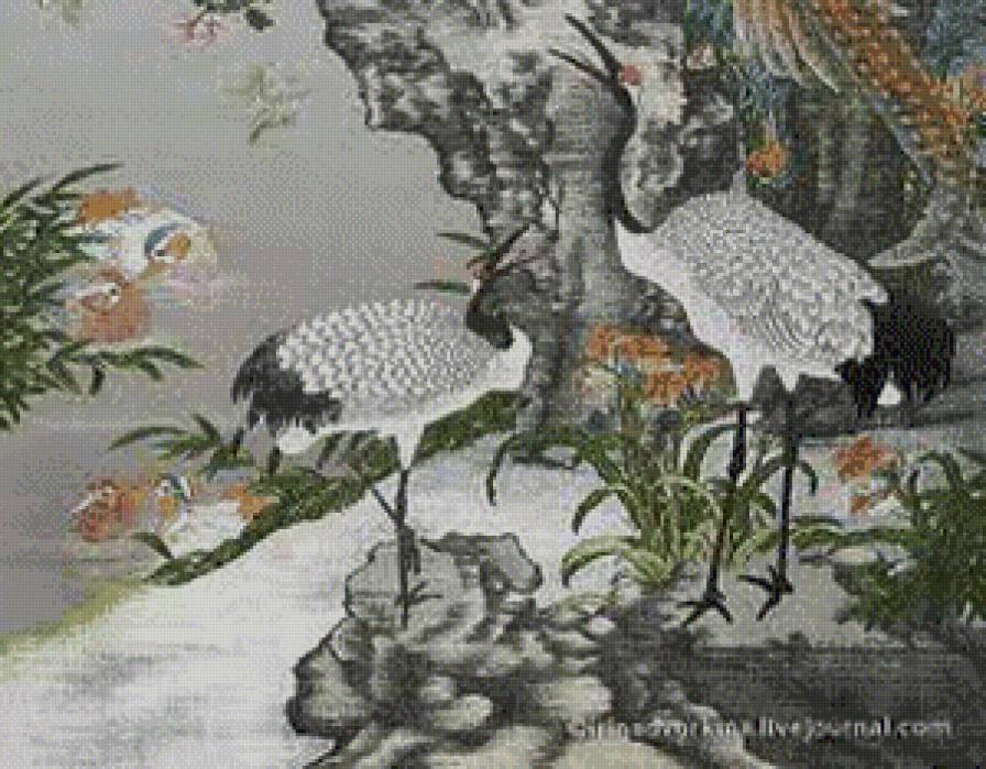 №573098 - природа, птицы - предпросмотр