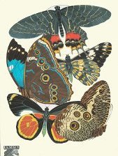 Схема вышивки «№573126»