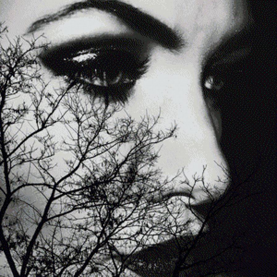 Моей подгуге... - монохром, деревья., девушка, лик - предпросмотр