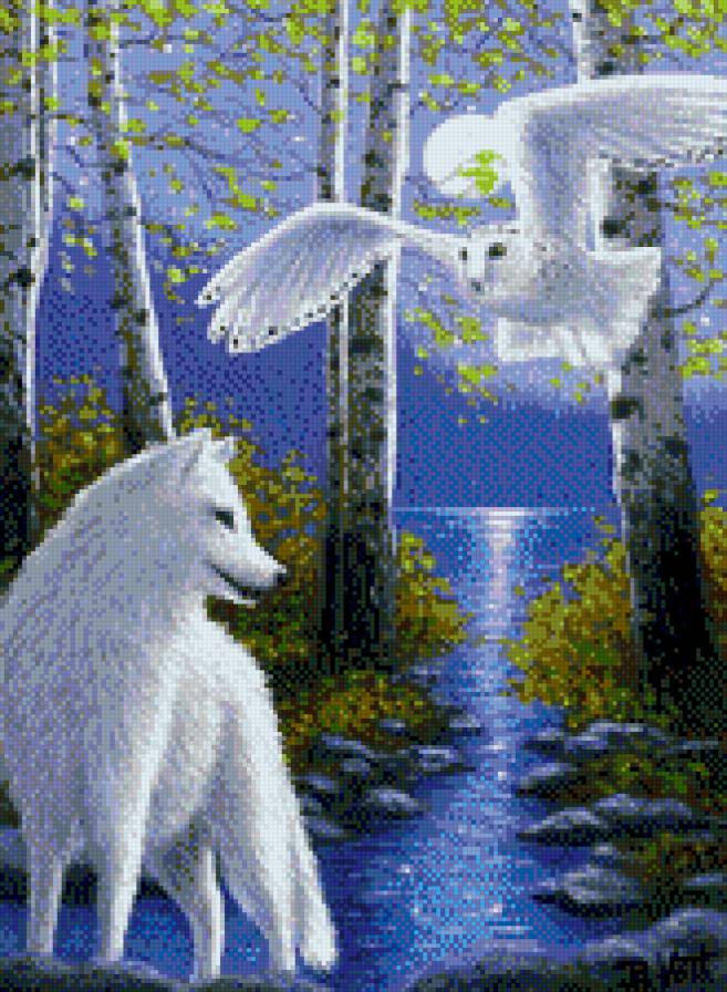 волк и сова - волк, сова, лес - предпросмотр