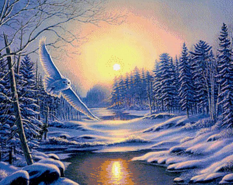 сова - сова, зима, закат, река, лес - предпросмотр