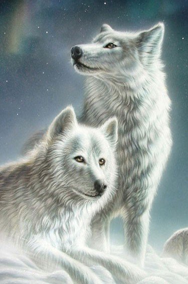 №573400 - зима, волки, животные - оригинал