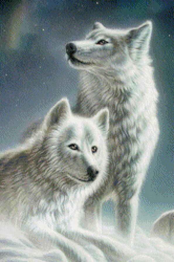 №573400 - зима, волки, животные - предпросмотр