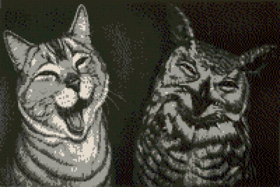 кот и сова - сова, животные, кот - предпросмотр