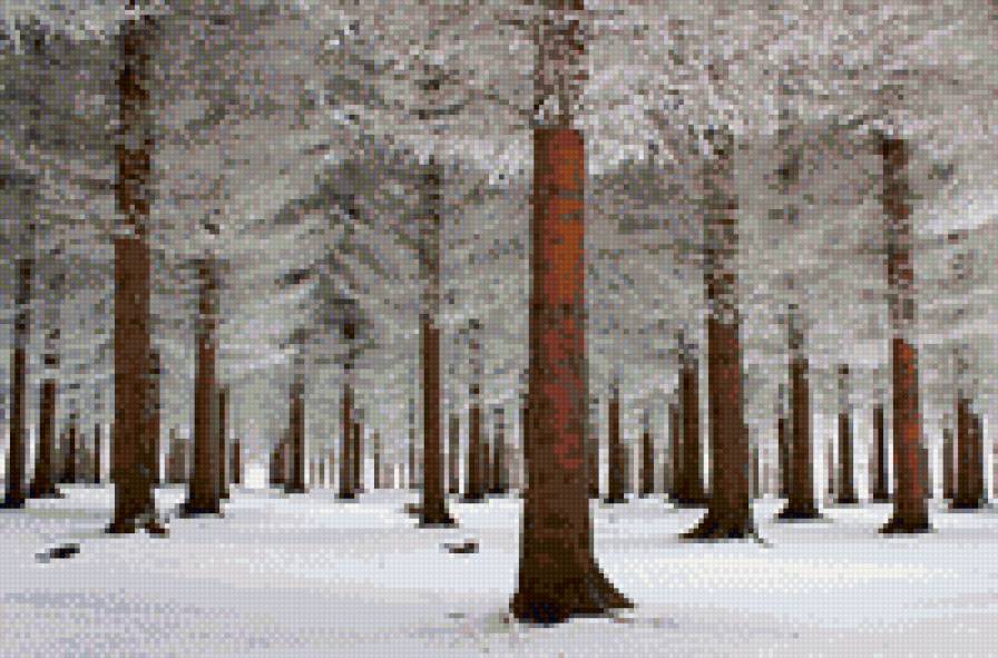 зима - зима - предпросмотр