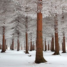 Схема вышивки «зима»