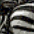 Предпросмотр схемы вышивки «зебры» (№573487)