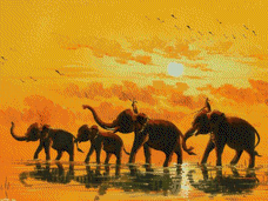 слоны - слоны, африка - предпросмотр